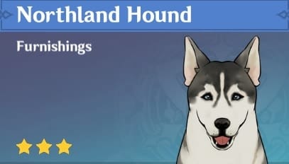 Furnishing Northland Hound