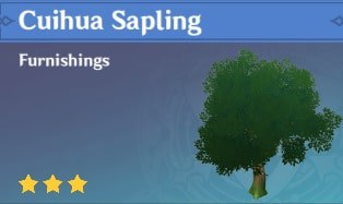 Cuihua Sapling