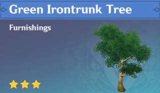Furnishing Green Irontrunk Tree