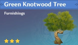 Furnishing Green Knotwood Tree