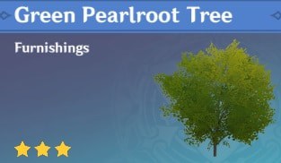 Furnishing Green Pearlroot Tree