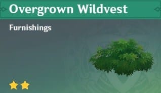 Furnishing Overgrown Wildvest