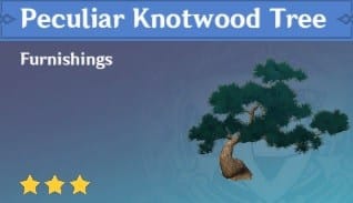 Furnishing Peculiar Knotwood Tree