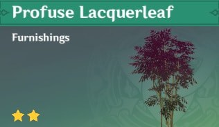 Furnishing Profuse Lacquerleaf