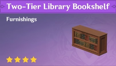 Two-Tier Library Bookshelf