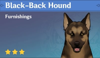Animal Black-Back Hound