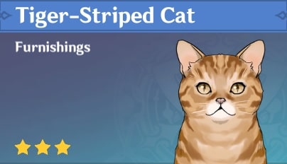 Animal Tiger-Striped Cat