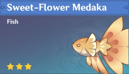 Fish Sweet Flower Medaka