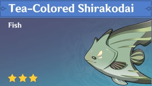 Fish Tea Colored Shirakodai
