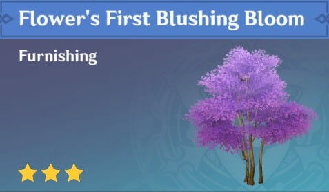 Flower's First Blushing Bloom