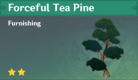 Forceful Tea Pine