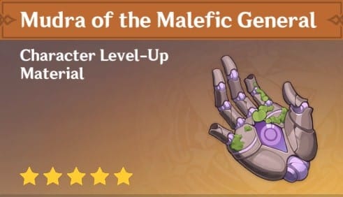 Mudra of the Malefic General