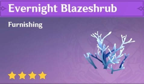 Evernight Blazeshrub