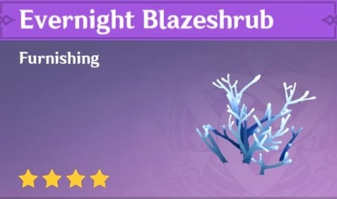 Evernight Blazeshrub