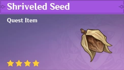 Quest Item - Shriveled Seed