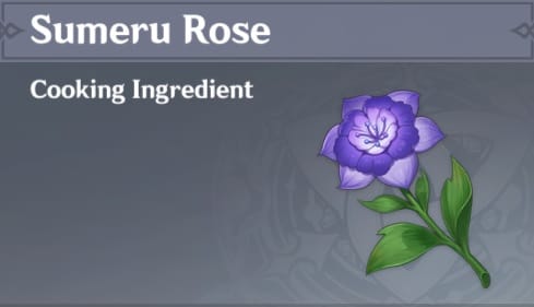 Sumeru Rose