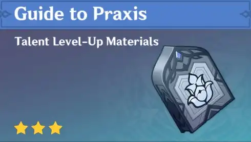 Guide to Praxis