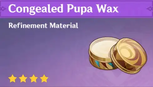 Congealed Pupa Wax